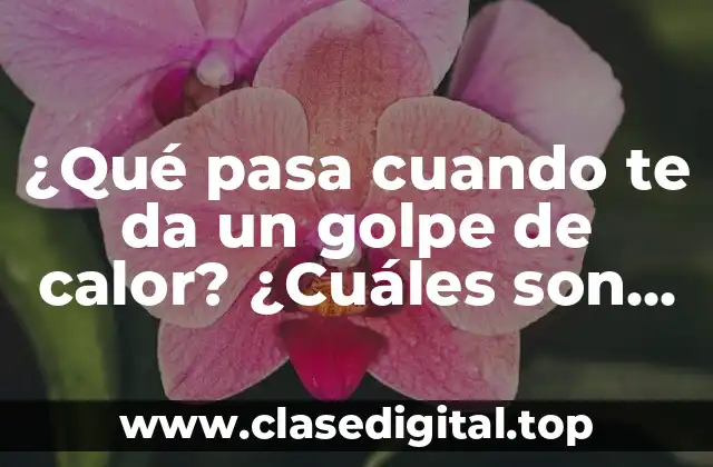 ¿Qué pasa cuando te da un golpe de calor? ¿Cuáles son los síntomas y consecuencias?