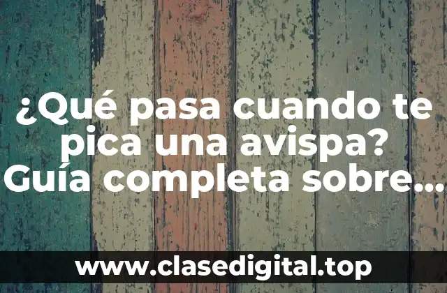 ¿Qué pasa cuando te pica una avispa? Guía completa sobre picaduras de avispas y abejas