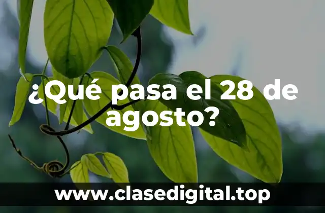 ¿Qué pasa el 28 de agosto?