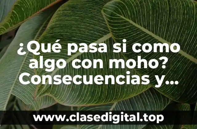 ¿Qué pasa si como algo con moho? Consecuencias y riesgos para la salud
