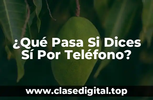 Las Ofertas Fraudulentas por Teléfono: Cómo Funcionan