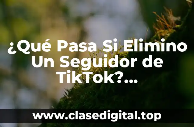 ¿Qué Pasa Si Elimino Un Seguidor de TikTok? Consecuencias y Efectos en Tu Cuenta