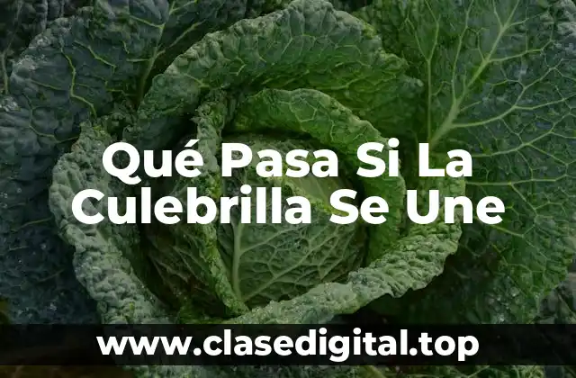 Qué Pasa Si La Culebrilla Se Une