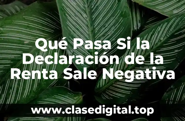 Qué Pasa Si la Declaración de la Renta Sale Negativa