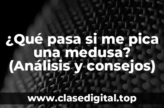 ¿Qué pasa si me pica una medusa? (Análisis y consejos)