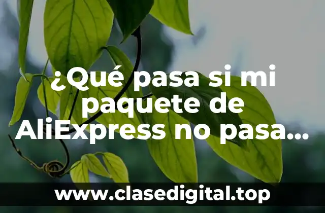 ¿Qué pasa si mi paquete de AliExpress no pasa aduana?