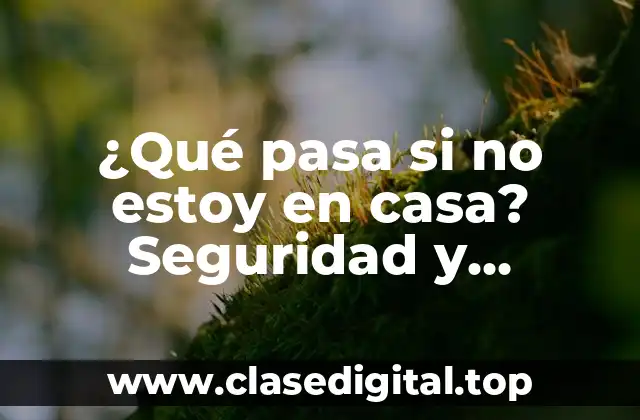 ¿Qué pasa si no estoy en casa? Seguridad y soluciones prácticas