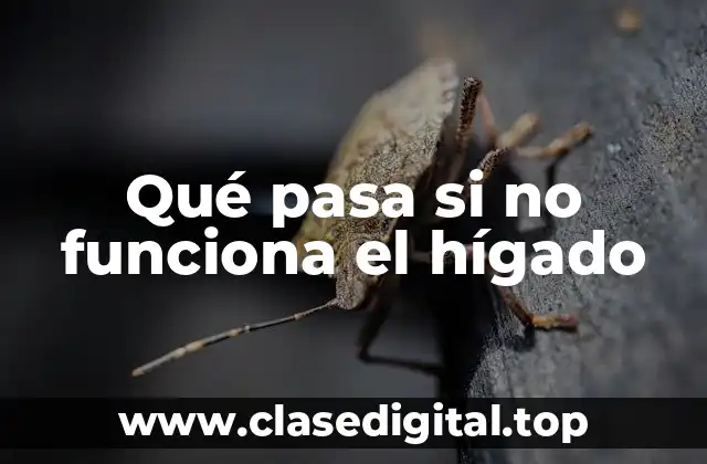 Qué pasa si no funciona el hígado