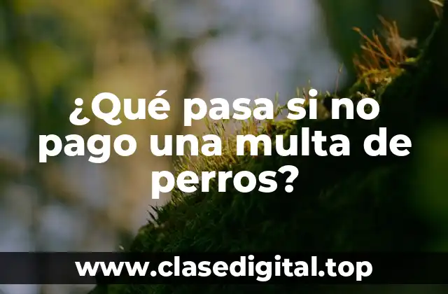 ¿Qué pasa si no pago una multa de perros?