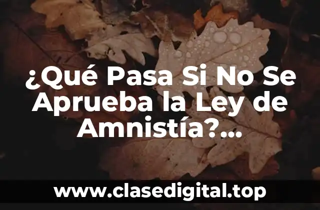 Antecedentes de la Ley de Amnistía y su Evolución