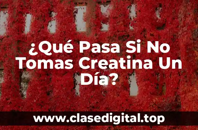 ¿Qué Pasa Si No Tomas Creatina Un Día?