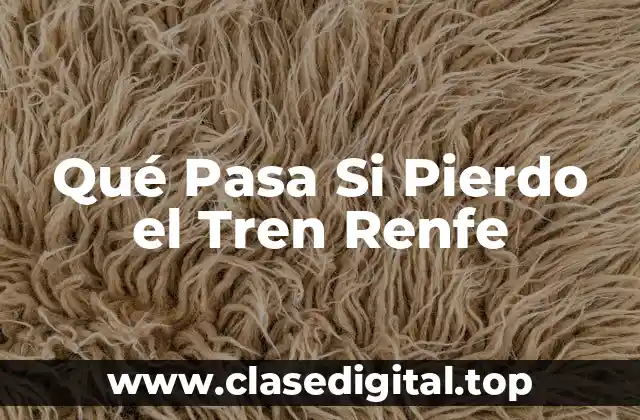 Qué Pasa Si Pierdo el Tren Renfe