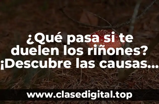 ¿Qué pasa si te duelen los riñones? ¡Descubre las causas y soluciones!