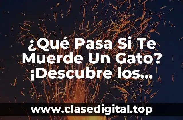 Las Enfermedades que Pueden Transmitir los Gatos a través de las Mordeduras