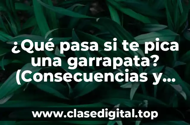 ¿Qué pasa si te pica una garrapata? (Consecuencias y riesgos)