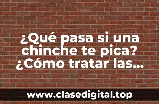 ¿Qué pasa si una chinche te pica? ¿Cómo tratar las picaduras de chinches?