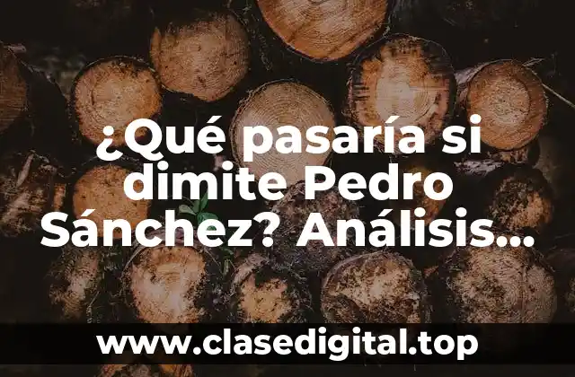 ¿Qué pasaría si dimite Pedro Sánchez? Análisis político y económico