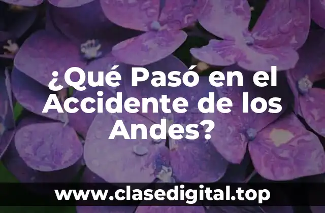 ¿Qué Pasó en el Accidente de los Andes?