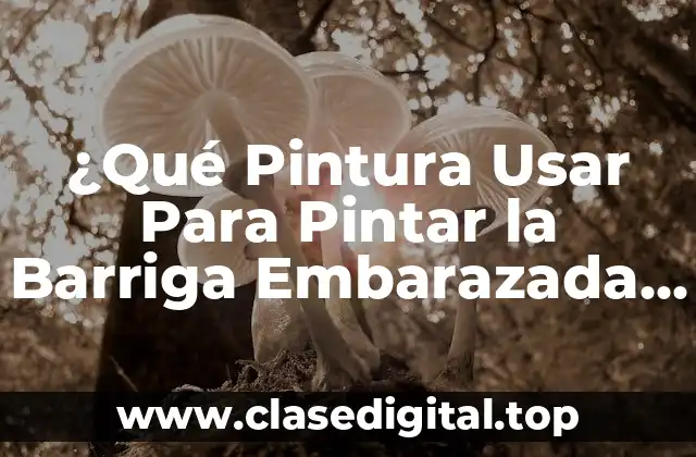 ¿Qué Pintura Usar Para Pintar la Barriga Embarazada de Forma Segura y Creativa?