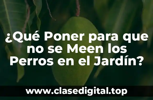 ¿Qué Poner para que no se Meen los Perros en el Jardín?