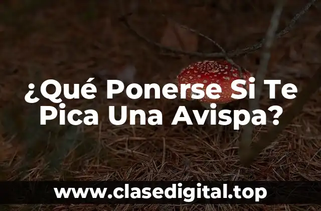 ¿Qué Ponerse Si Te Pica Una Avispa?