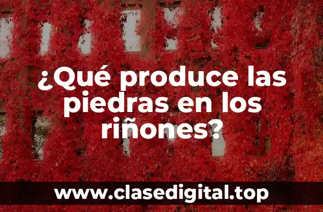 ¿Qué produce las piedras en los riñones?