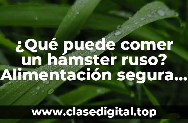 Alimentos básicos para hámsteres rusos