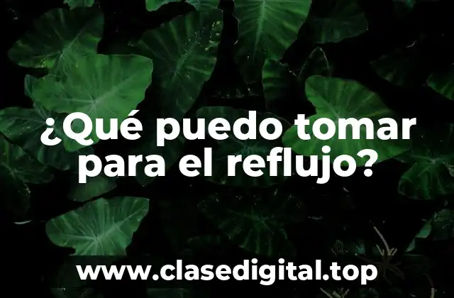 Remedios naturales para el reflujo gastroesofágico