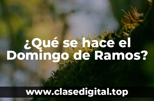 Orígenes del Domingo de Ramos