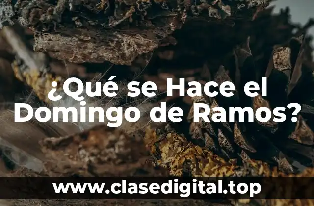 Orígenes del Domingo de Ramos