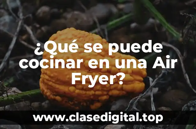 ¿Qué se puede cocinar en una Air Fryer?