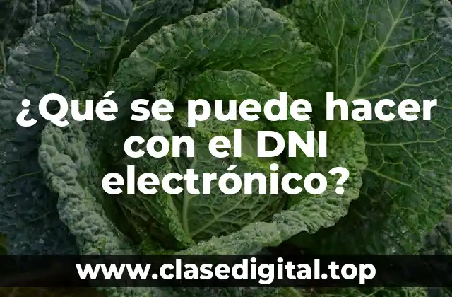 ¿Qué se puede hacer con el DNI electrónico?