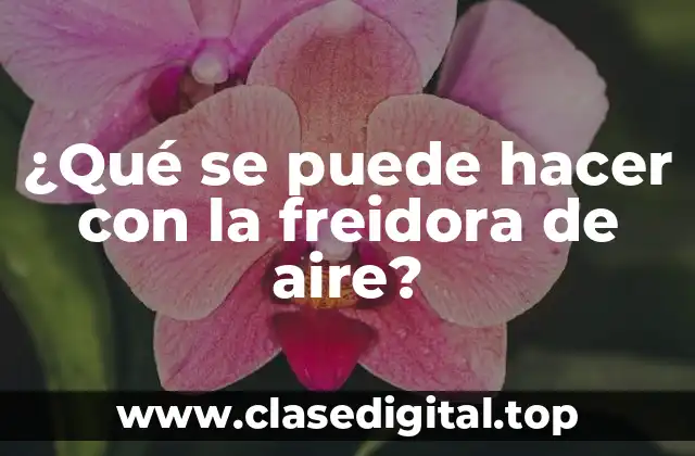 ¿Qué se puede hacer con la freidora de aire?