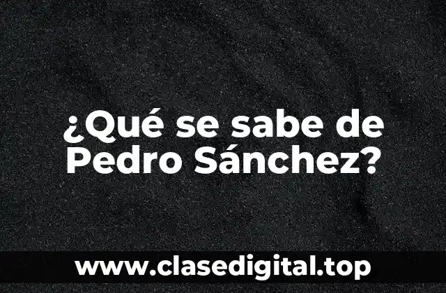 Biografía de Pedro Sánchez - De la juventud a la política
