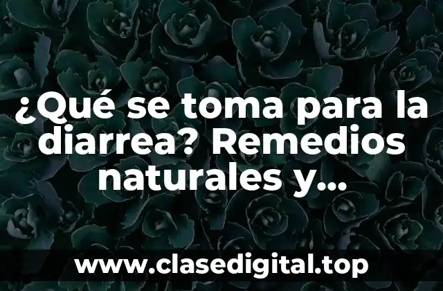 ¿Qué se toma para la diarrea? Remedios naturales y medicamentos efectivos