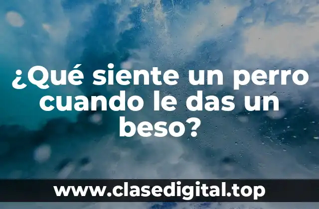 ¿Qué siente un perro cuando le das un beso?
