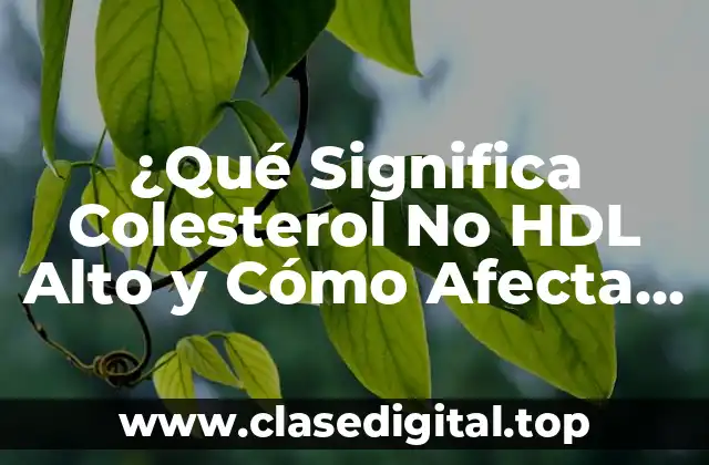 ¿Qué Significa Colesterol No HDL Alto y Cómo Afecta mi Salud?