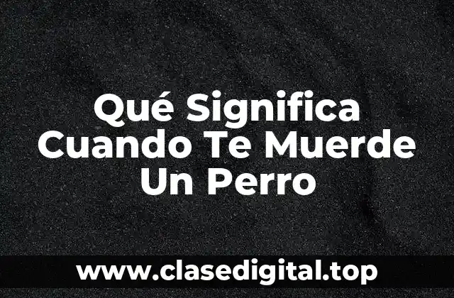 ¿Qué Pasará Si Me Muerde Un Perro?