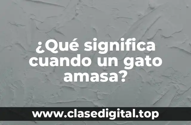 ¿Qué significa cuando un gato amasa?