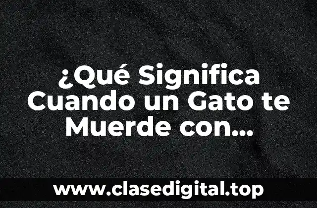 ¿Qué Significa Cuando un Gato te Muerde con Suavidad?