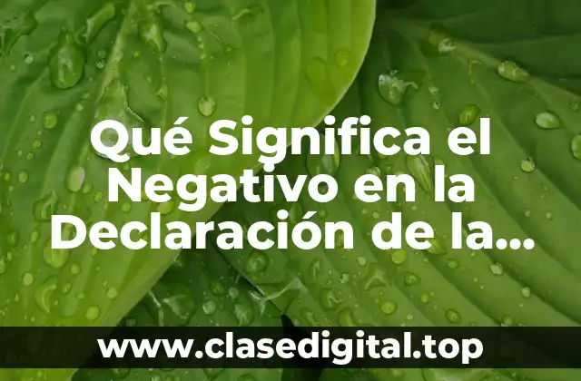 Qué Significa el Negativo en la Declaración de la Renta
