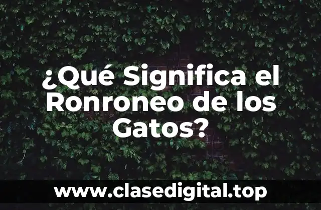 ¿Qué Significa el Ronroneo de los Gatos?
