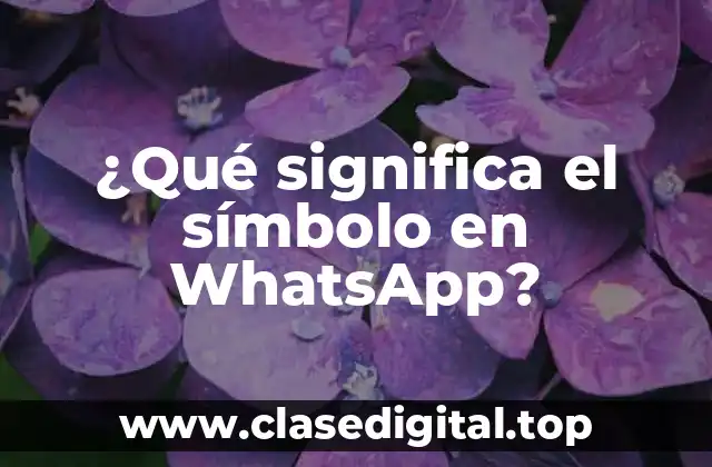 ¿Qué significa el símbolo en WhatsApp?