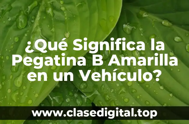 ¿Qué Significa la Pegatina B Amarilla en un Vehículo?