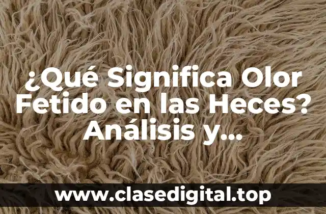 ¿Qué Significa Olor Fetido en las Heces? Análisis y Explicación