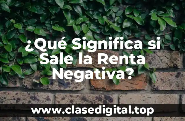 Definición de Renta Negativa