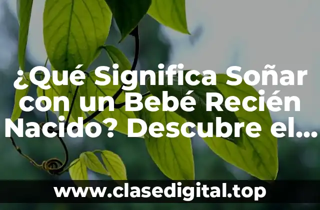 ¿Qué Significa Soñar con un Bebé Recién Nacido? Descubre el Significado
