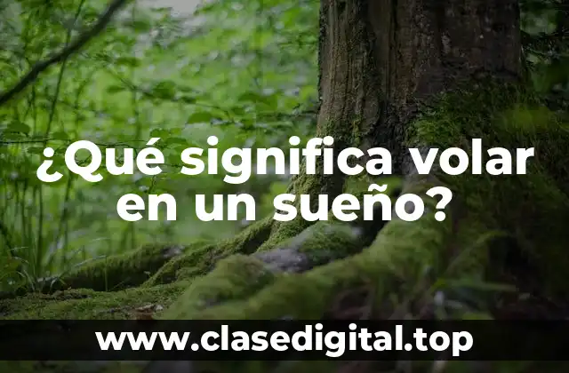 ¿Qué significa volar en un sueño?