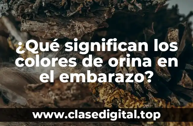 ¿Qué significan los colores de orina en el embarazo?