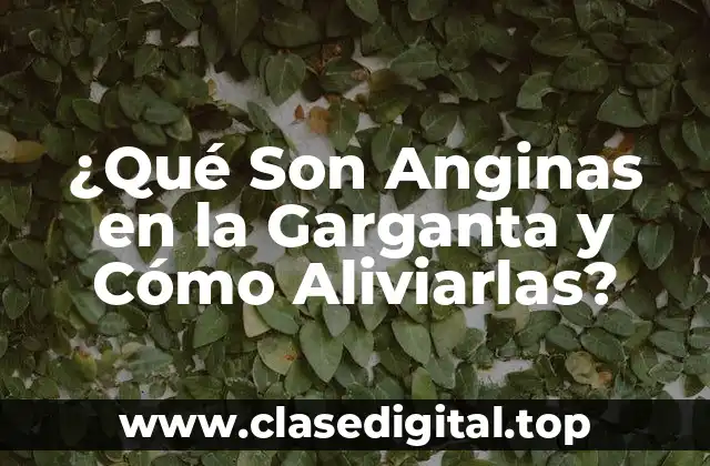 ¿Qué Son Anginas en la Garganta y Cómo Aliviarlas?